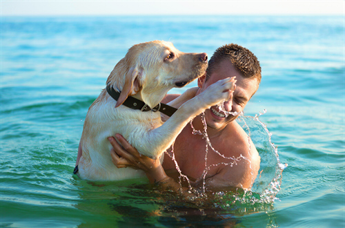 Training Kommando Nein