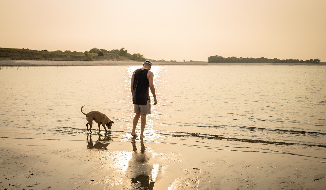 Auslandsversicherungen für Hunde