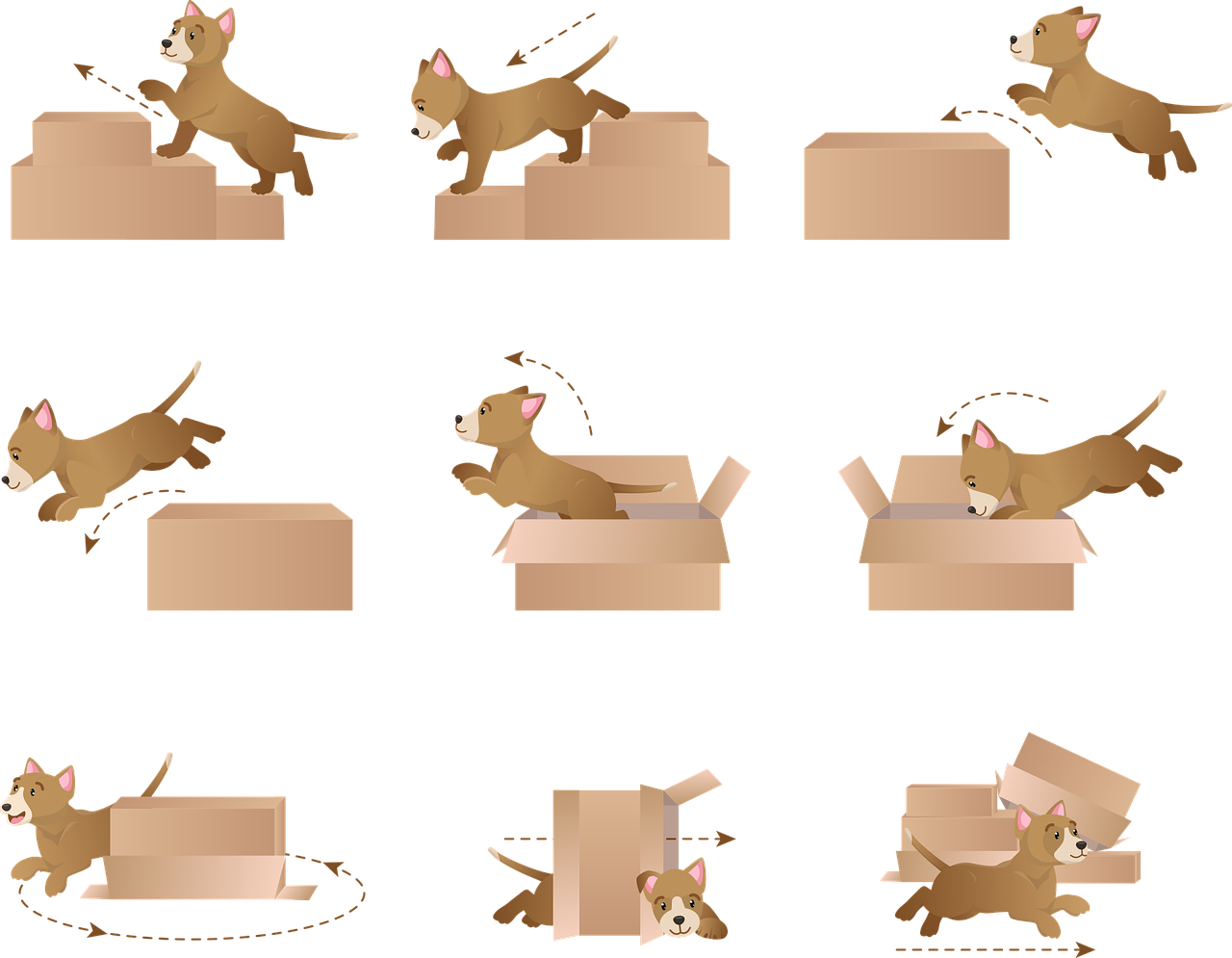 Trainingsmethoden in der Hundeschule